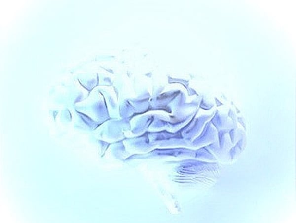 Integrative Psychology Associates